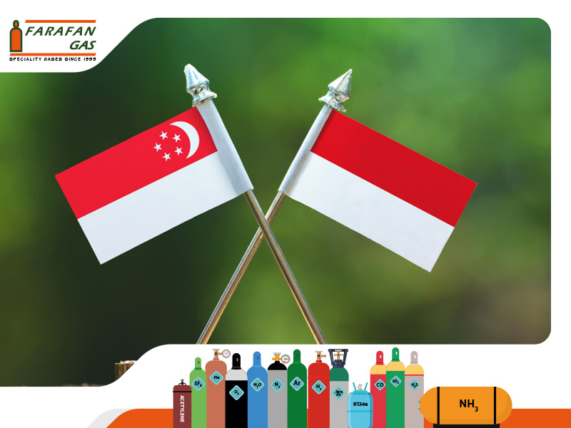Indonesia-and-Singapore-explore-CCS-and-green-industry-potential اندونزی و سنگاپور ظرفیتهای همکاری در حوزه جذب و ذخیرهسازی کربن و صنایع سبز را بررسی میکنند